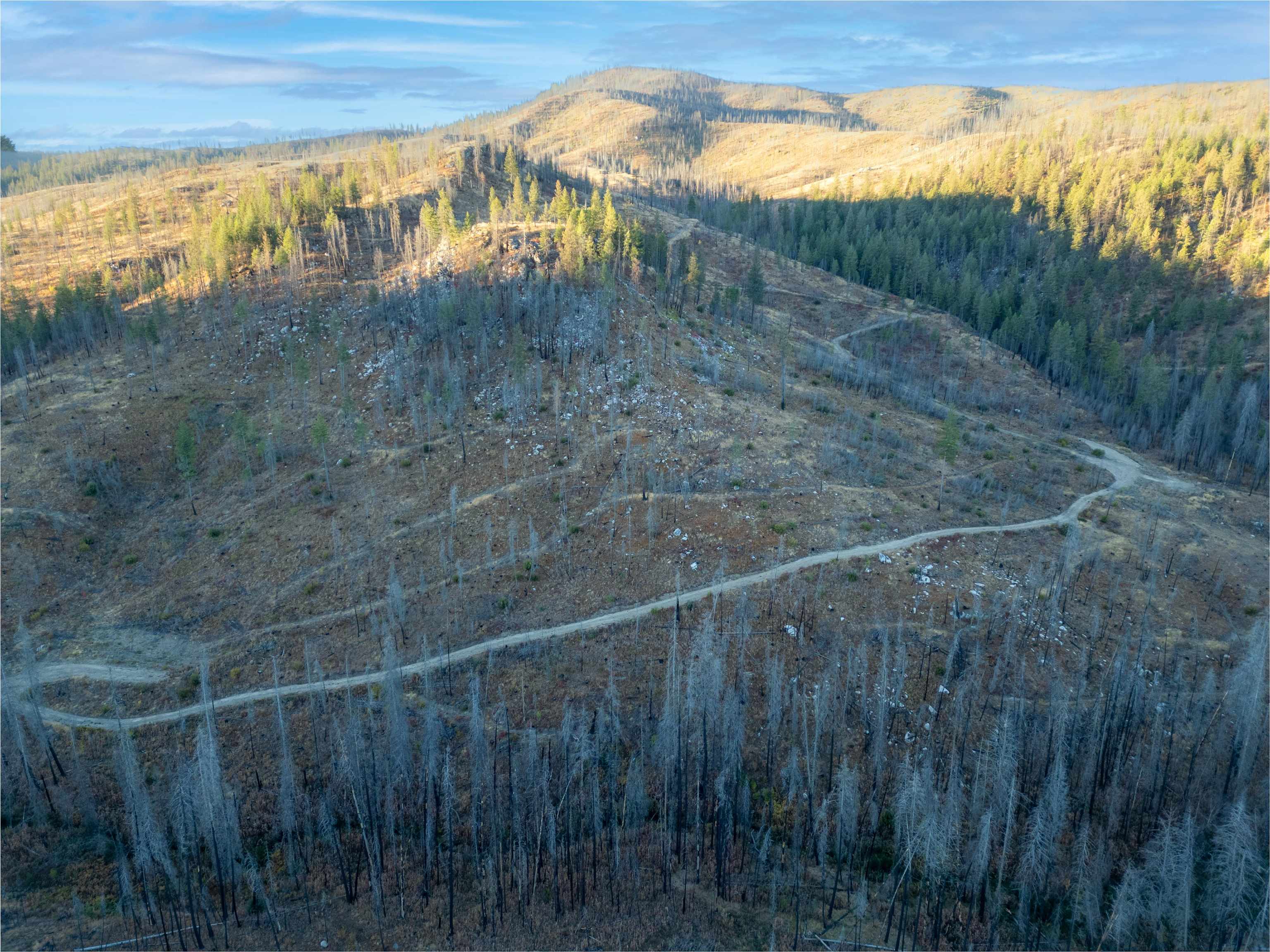 Lot 1 Rail Canyon Road Tumtum, WA 99034 - Photo 2 of 5