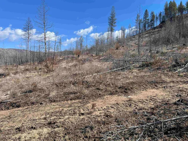 $79,000 | Lot 1 Rail Canyon Road, Tumtum, WA 99034