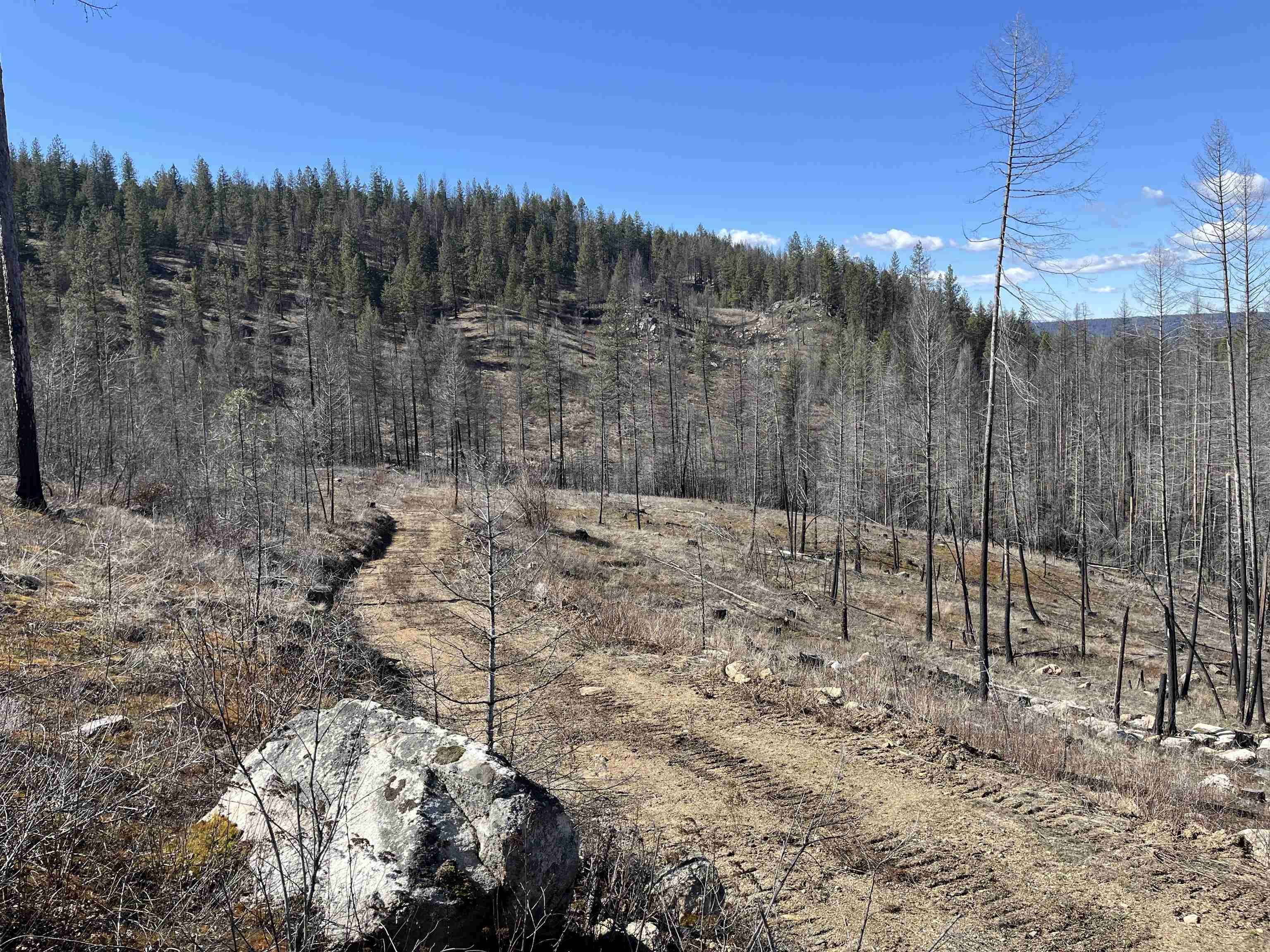 Lot 1 Rail Canyon Road Tumtum, WA 99034 - Photo 4 of 5