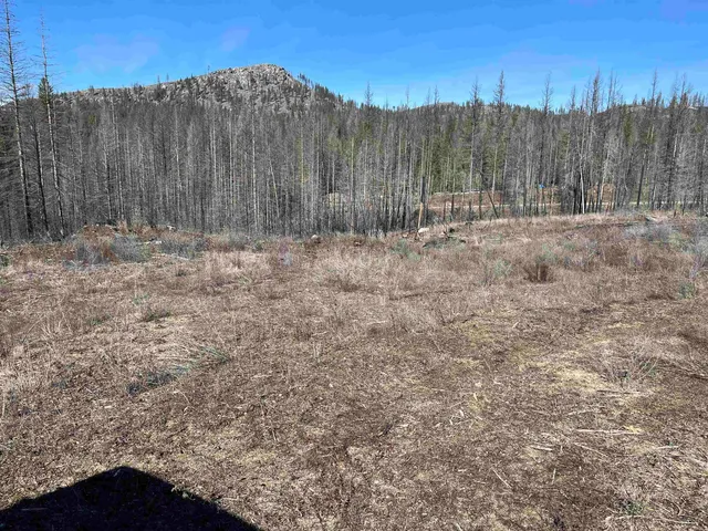 $79,000 | Lot 1 Rail Canyon Road, Tumtum, WA 99034