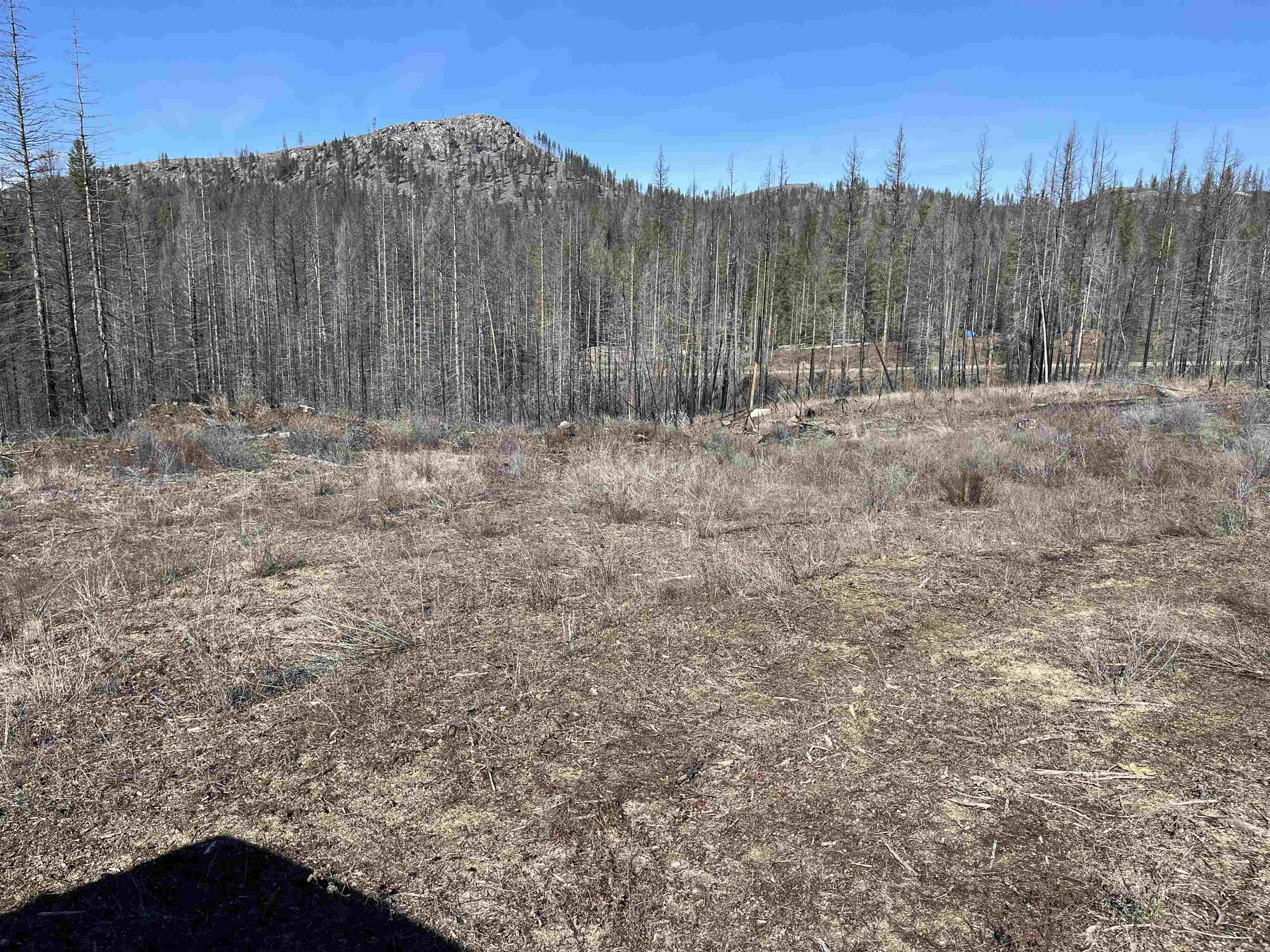 Lot 1 Rail Canyon Road Tumtum, WA 99034 - Photo 5 of 5