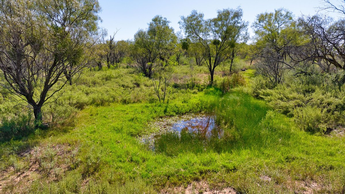 567 County Road 241 Rochelle, TX 76872 - Photo 13 of 31 View of undeveloped land featuring a large body of water
