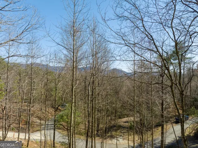 $79,000 | Lot 508 Chicasaw Drive, Ellijay, GA 30540