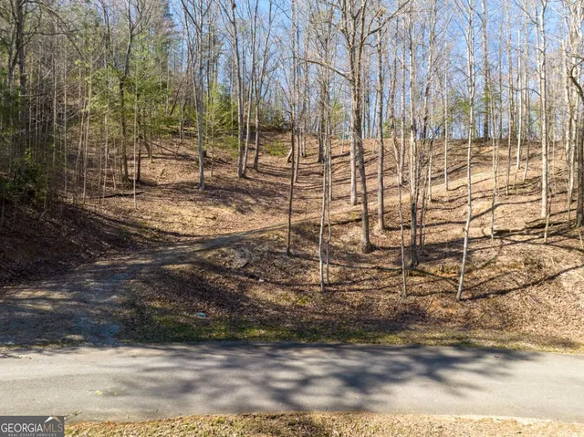 $79,000 | Lot 508 Chicasaw Drive, Ellijay, GA 30540