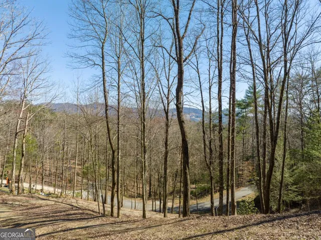 $79,000 | Lot 508 Chicasaw Drive, Ellijay, GA 30540