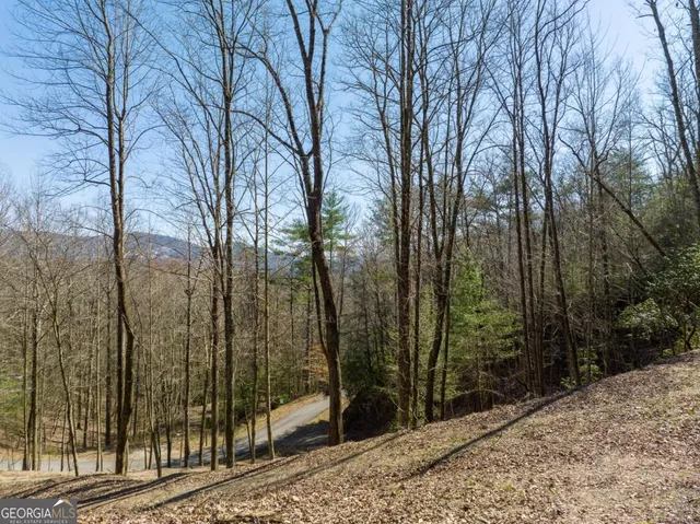 $79,000 | Lot 508 Chicasaw Drive, Ellijay, GA 30540