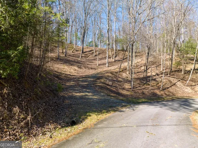 $79,000 | Lot 508 Chicasaw Drive, Ellijay, GA 30540