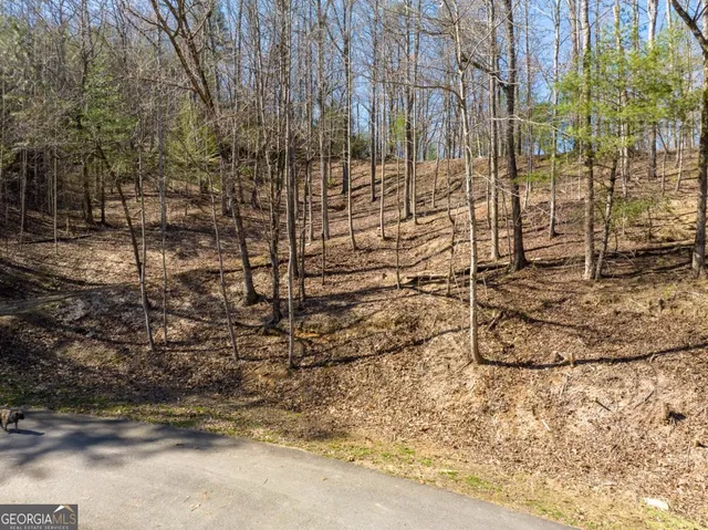 $79,000 | Lot 508 Chicasaw Drive, Ellijay, GA 30540