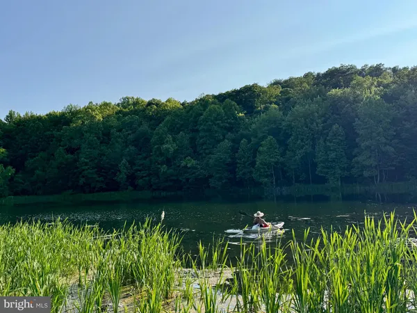 a backyard of a house with lots of green space and trees all around