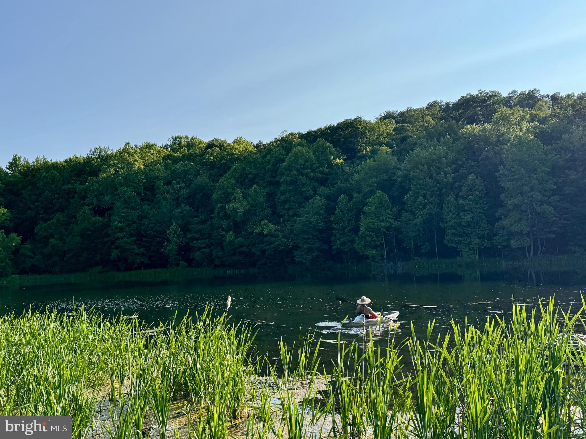 198 Heim-Jones Road Linden, VA 22642 - Photo 33 of 38 a backyard of a house with lots of green space and trees all around