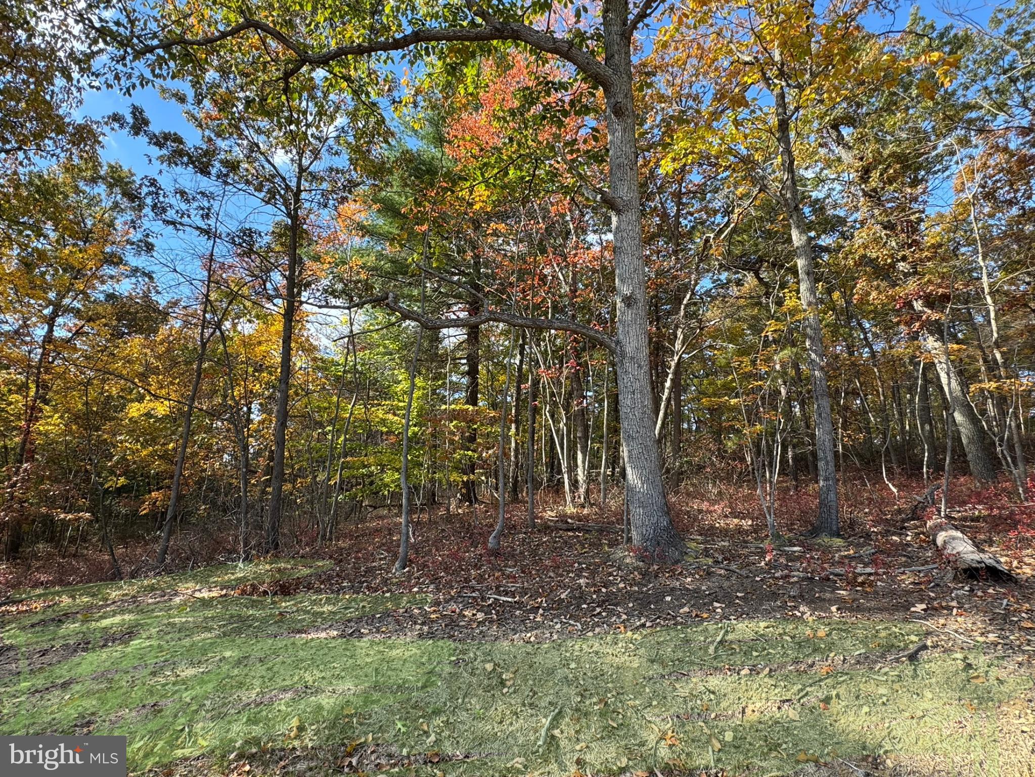 198 Heim-Jones Road Linden, VA 22642 - Photo 35 of 38 a backyard of a house with lots of green space