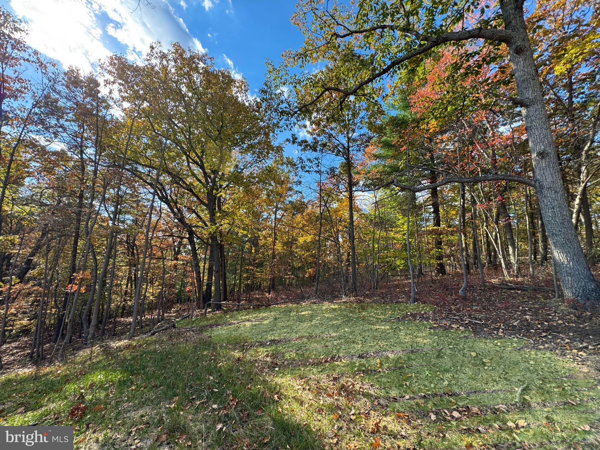 198 Heim-Jones Road Linden, VA 22642 - Photo 36 of 38 a view of outdoor space with trees
