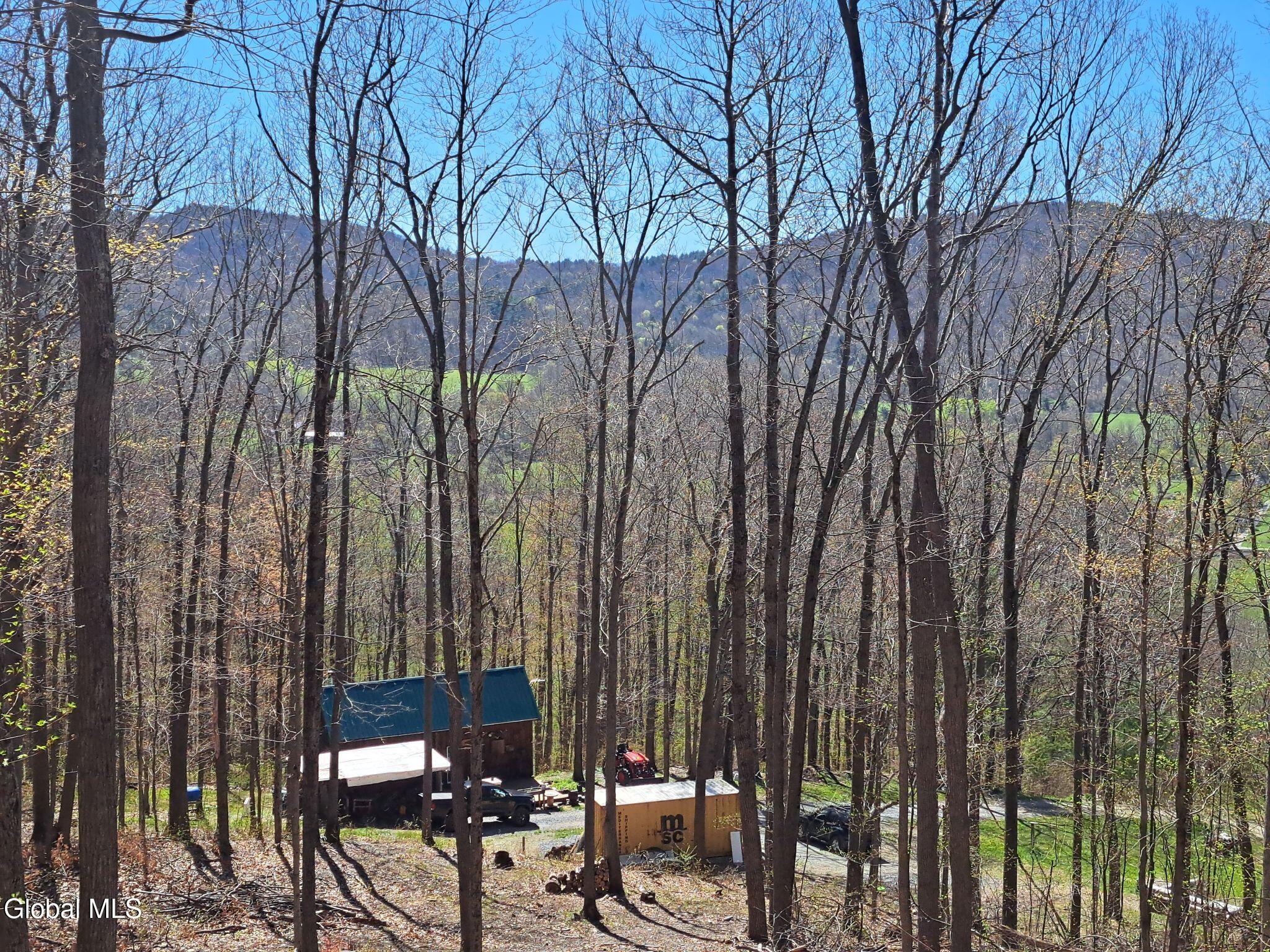277 Breese Hollow Road Hoosick, NY 12089 - Photo 28 of 52 28 Hill Above Home