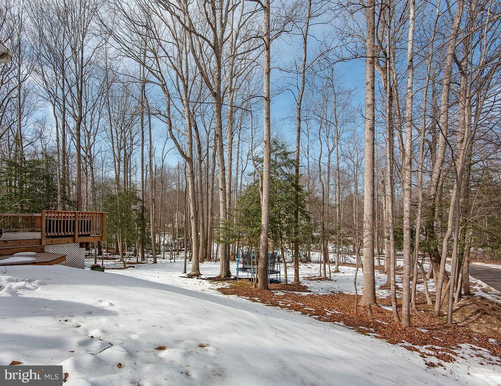 7216 Token Valley Road Manassas, VA 20112 - Photo 2 of 43 Gallery Image 2