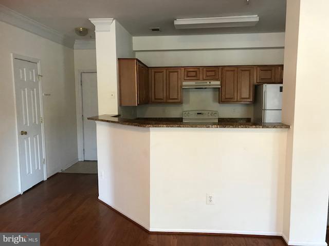 1530 Spring Gate Dr., Unit 9117 McLean, VA 22102 - Photo 6 of 15 Kitchen
