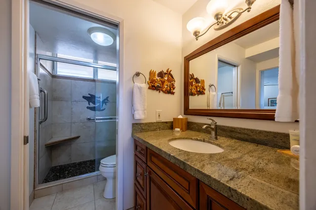 a bathroom with a granite countertop sink a toilet a mirror and shower