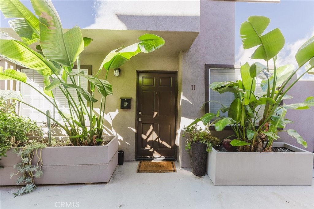 a potted plant sitting in front of a building
