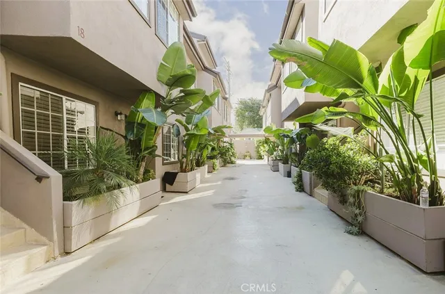 a view of a garden with pathway