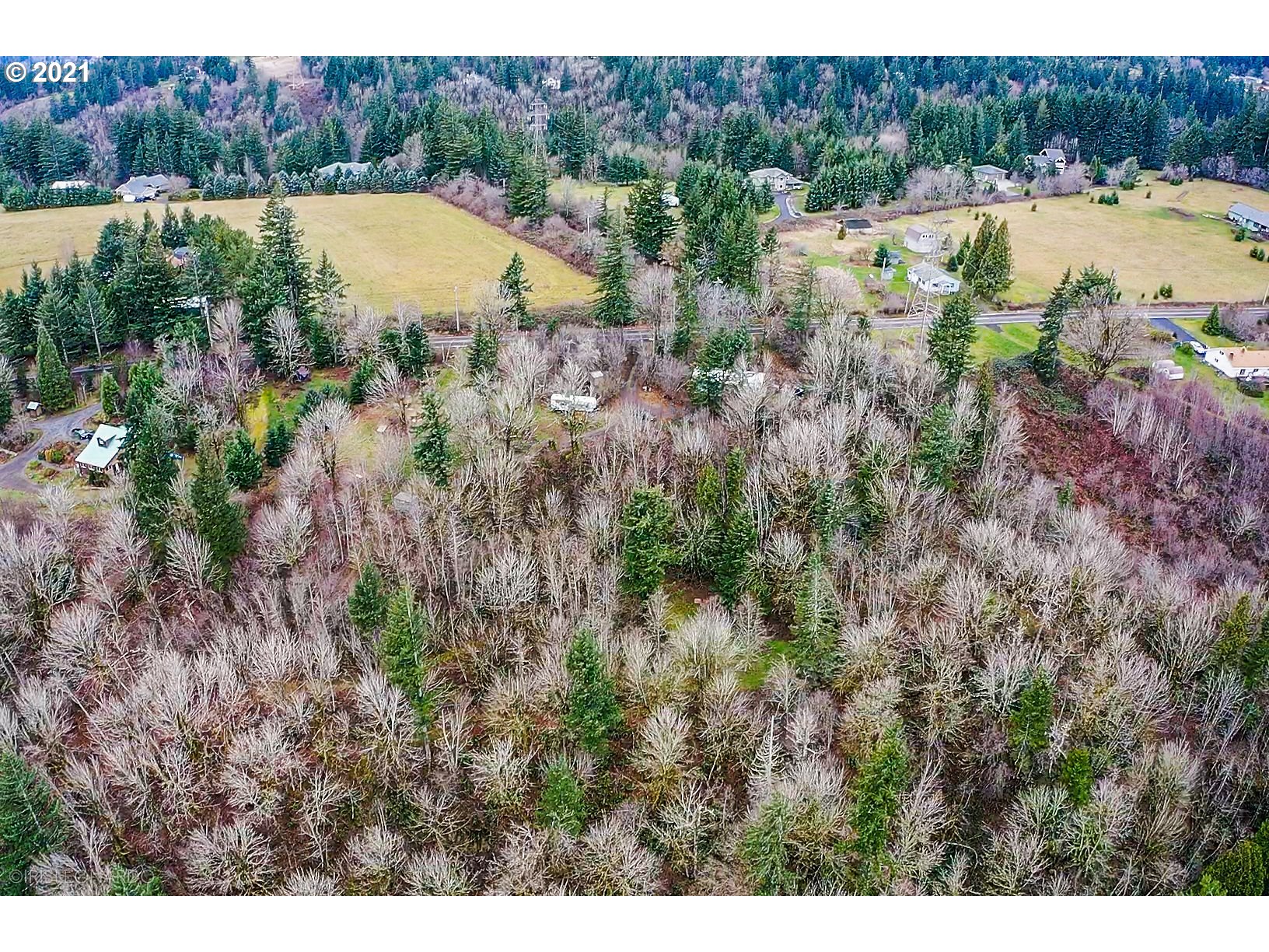 36705 Southeast Sunset View Road Washougal, WA 98671 - Photo 4 of 15 Gallery Image 4