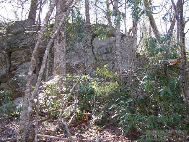 Lot #21 Scaley Bark Lane Boone, NC 28607 - Photo 3 of 12