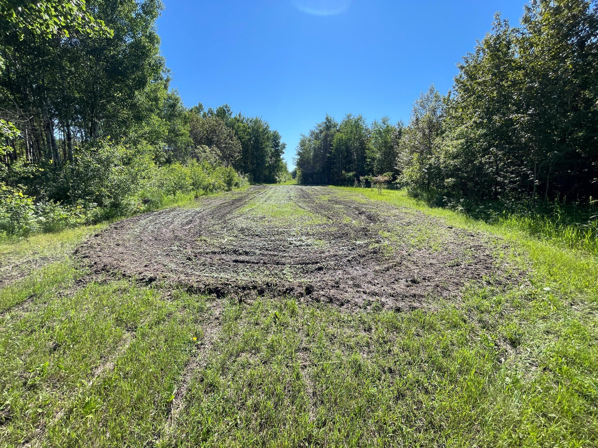 Tbd 440th Avenue Roseau, MN 56751 - Photo 33 of 80
