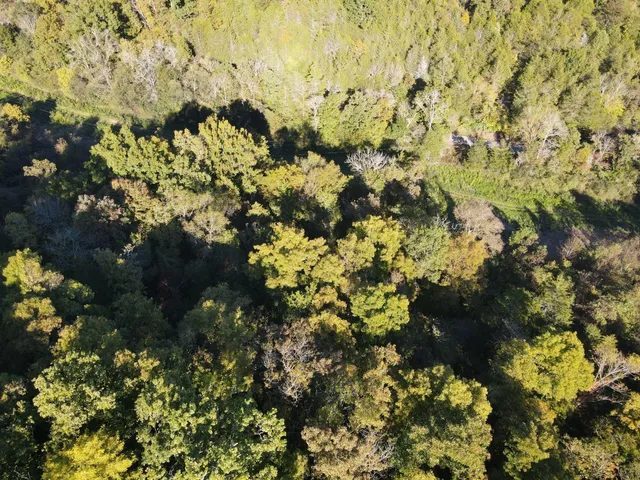 $449,000 | 0 Cole Ridge Road, Wartrace, TN 37183