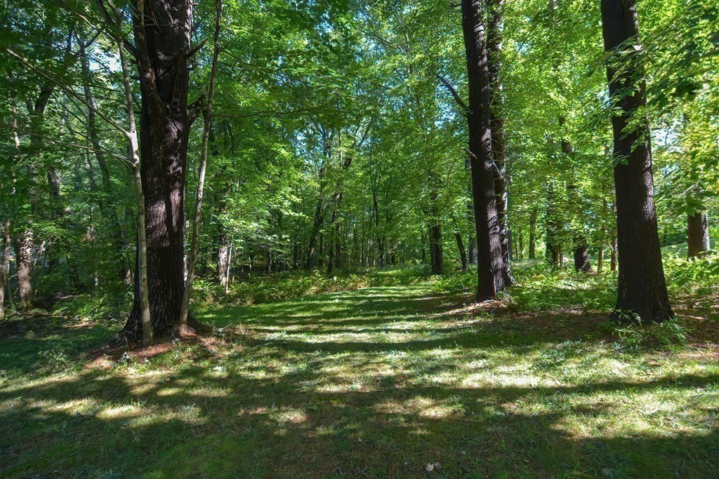 53 Warren Street Upton, MA 01568 - Photo 36 of 41 a view of a grassy field with trees in the background