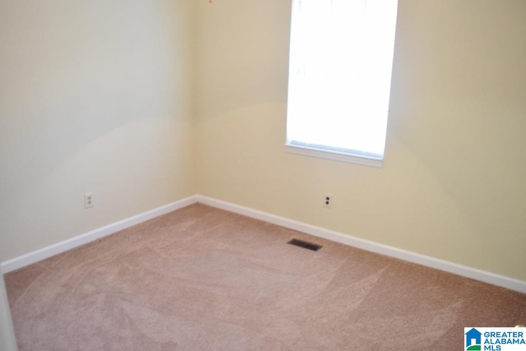 5912 Old Springville Road Northeast Pinson, AL 35126 - Photo 14 of 17