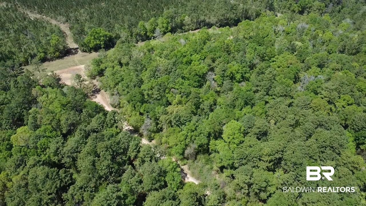 0 I-65 Service Road Creola, AL 36525 - Photo 14 of 20 Bird's eye view with a forest view