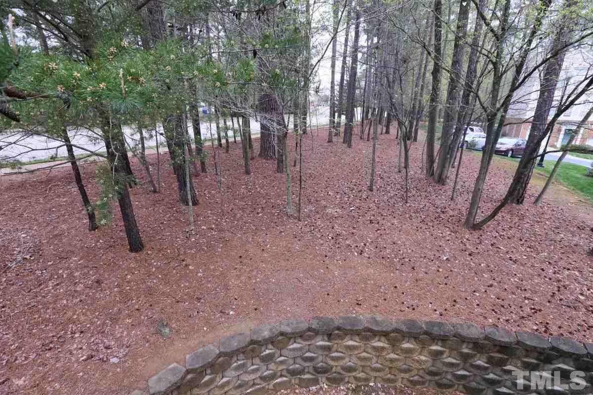 7113 Lovko Lane Raleigh, NC 27613 - Photo 24 of 25 a view of a forest filled with trees