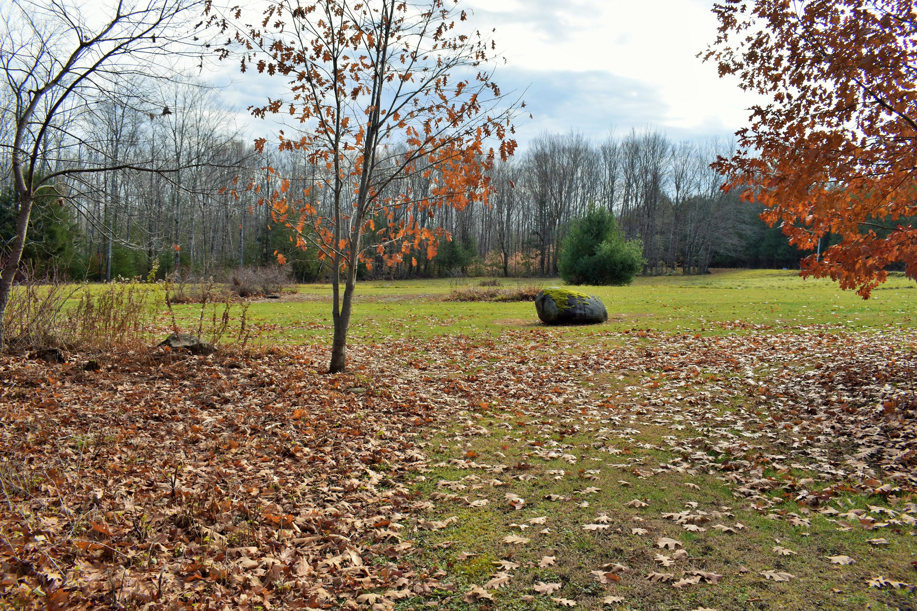 264 Avenue Road Garland, ME 04939 - Photo 66 of 72 66