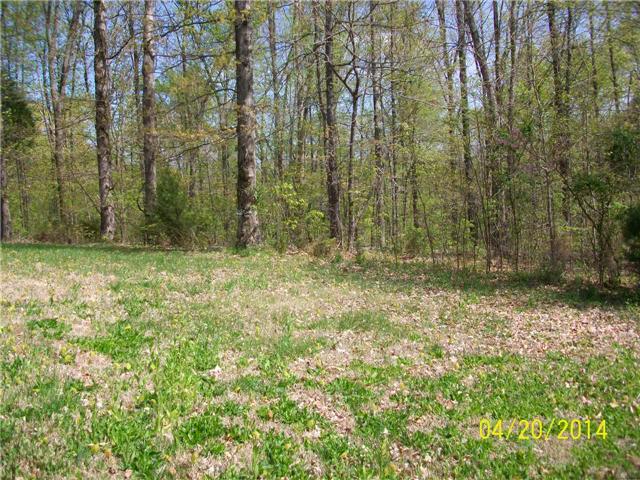 2985 Patsy Road Palmyra, TN 37142 - Photo 9 of 9 Gallery Image 9