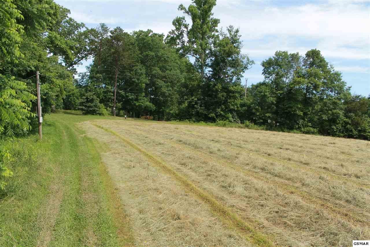 0 Jr Cox Road Lancing, TN 37770 - Photo 5 of 35 Gallery Image 5