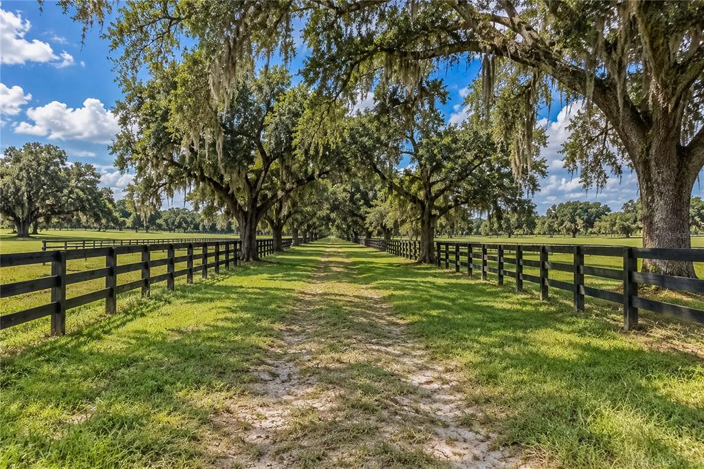 104 Southwest 104th Street Road Ocala, FL 34476 - Photo 13 of 19 Gallery Image 13