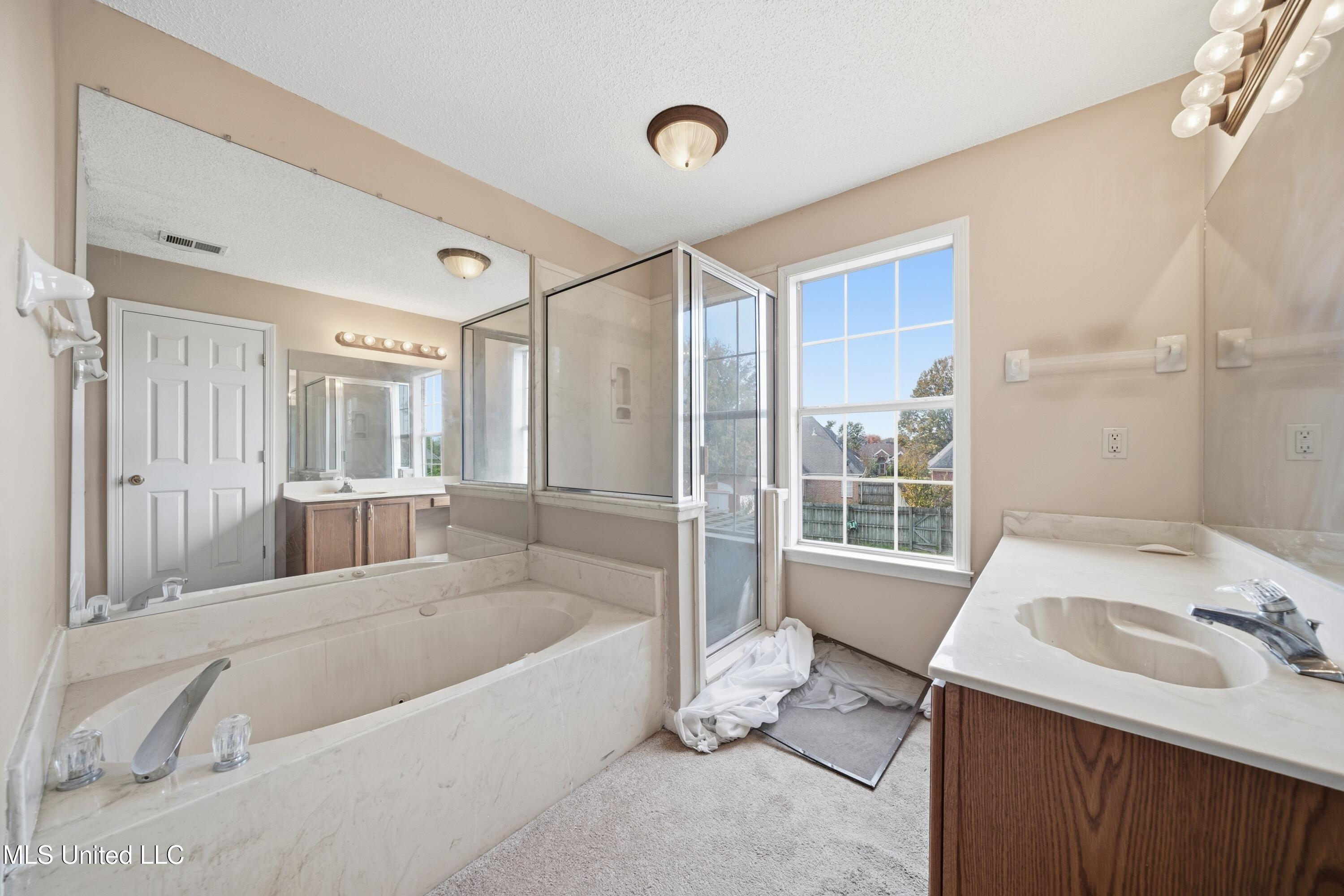 8891 Shellflower Drive Southaven, MS 38671 - Photo 12 of 18 full-61