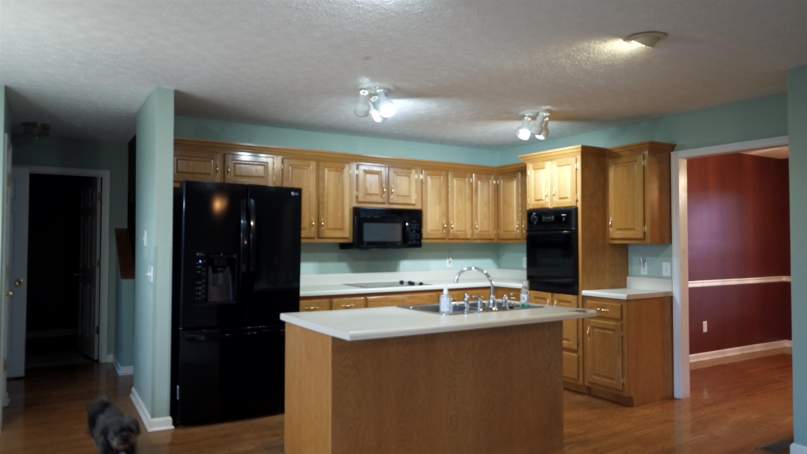 701 Cedar Grove Road Lebanon, TN 37087 - Photo 16 of 28 Kitchen with Island