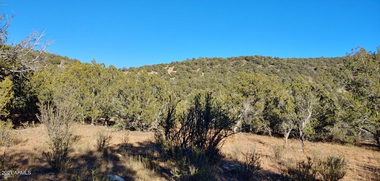 Tbd Tbd Wolf Road, Unit 920 Williams, AZ 86046 - Photo 11 of 15 thumbnail_20211028_154524_HDR_resized