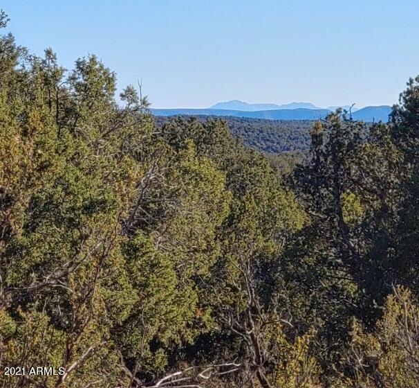 Tbd Tbd Wolf Road, Unit 920 Williams, AZ 86046 - Photo 12 of 15 thumbnail_20211028_154555_HDR_resized