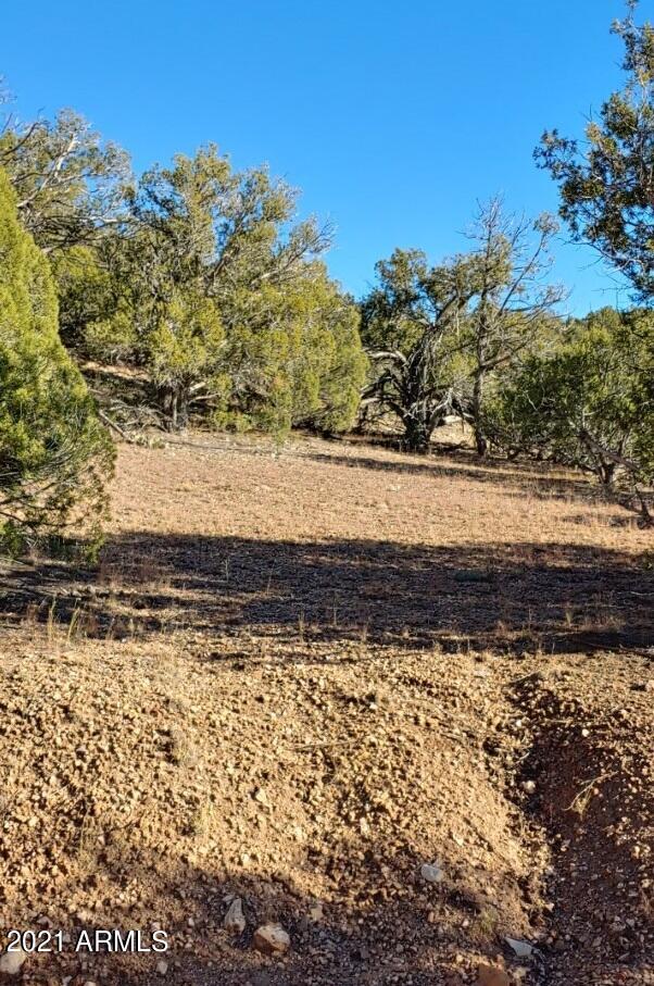 Tbd Tbd Wolf Road, Unit 920 Williams, AZ 86046 - Photo 15 of 15 thumbnail_20211028_155619_HDR_resized