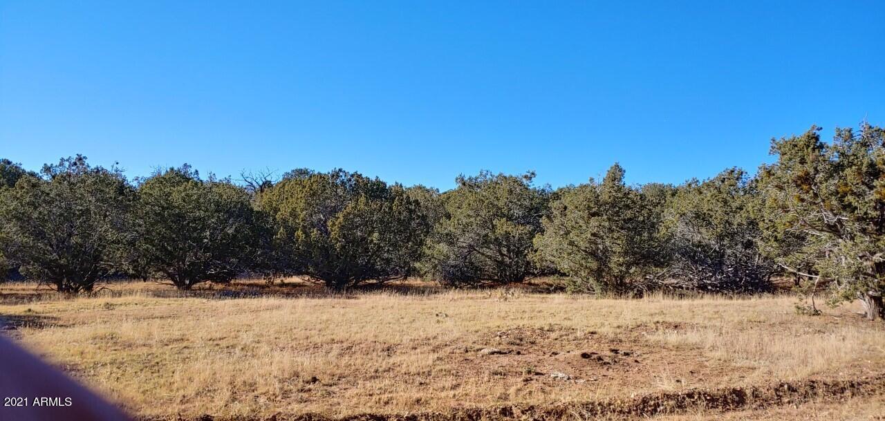 Tbd Tbd Wolf Road, Unit 920 Williams, AZ 86046 - Photo 3 of 15 thumbnail_20211028_153316_HDR_resized