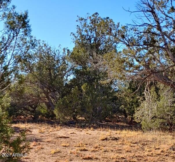 Tbd Tbd Wolf Road, Unit 920 Williams, AZ 86046 - Photo 5 of 15 thumbnail_20211028_153759_HDR_resized