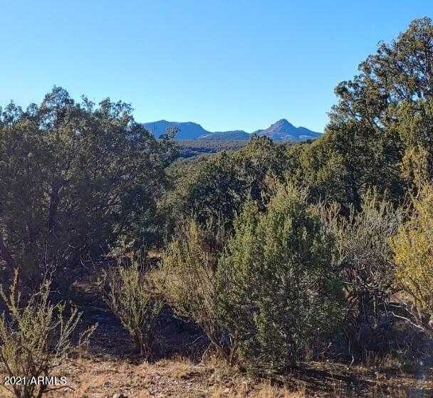 Tbd Tbd Wolf Road, Unit 920 Williams, AZ 86046 - Photo 7 of 15 thumbnail_20211028_154010_HDR_resized