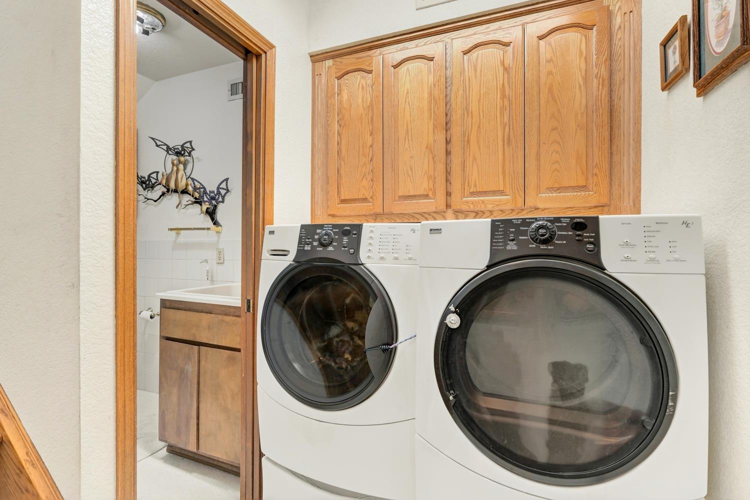 2952 Royce Drive Rescue, CA 95672 - Photo 43 of 70 laundry area and another half bath