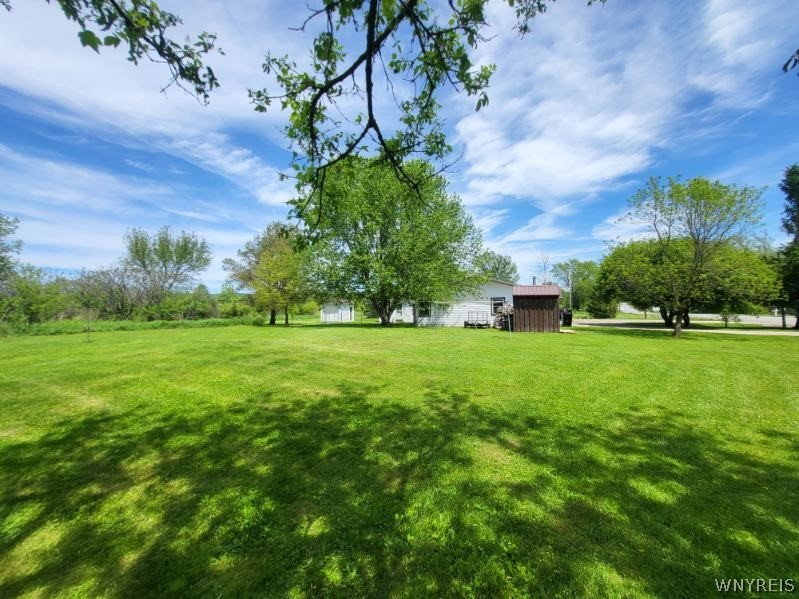 8294 Swamp Road East Otto, NY 14729 - Photo 34 of 47