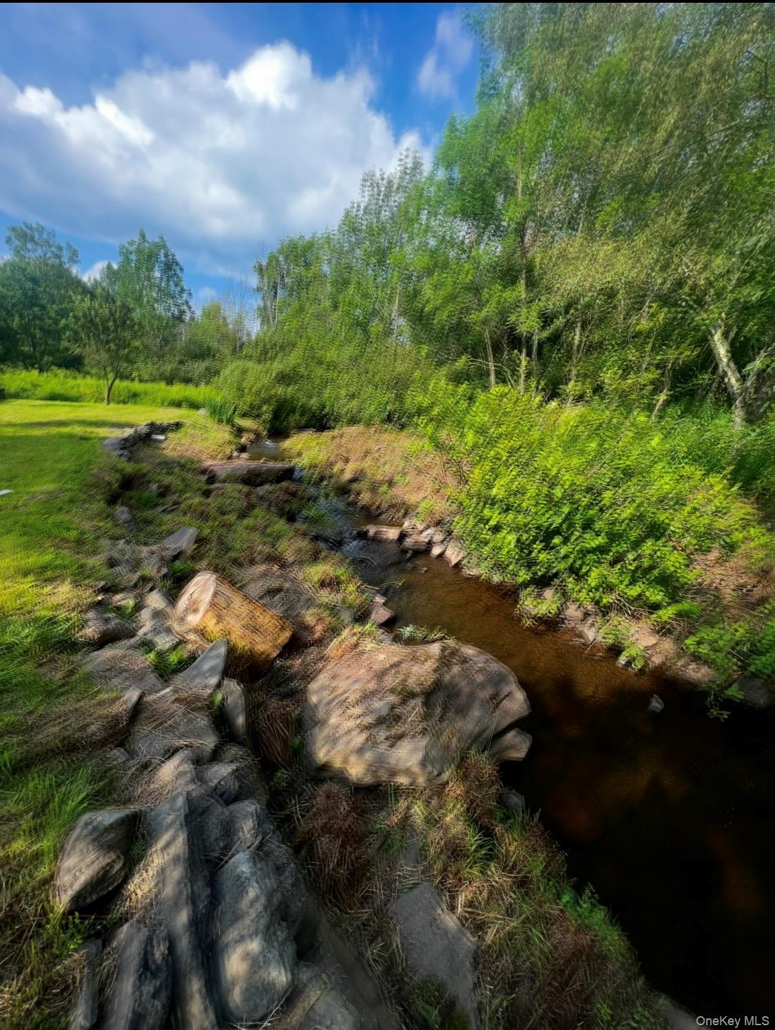 542 Mitchell Hollow Road Windham, NY 12496 - Photo 21 of 22