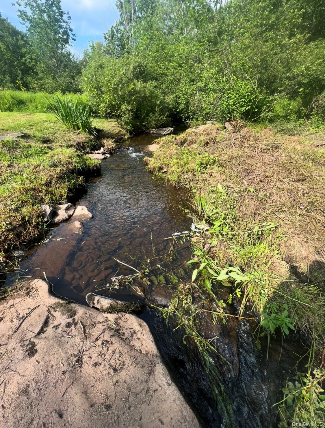 542 Mitchell Hollow Road Windham, NY 12496 - Photo 22 of 22