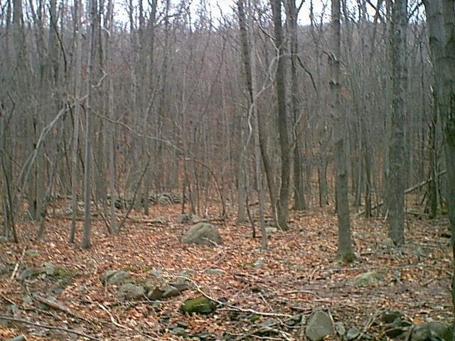 Railroad Road Tannersville, PA 18372 - Photo 3 of 3 a view of wooden fence