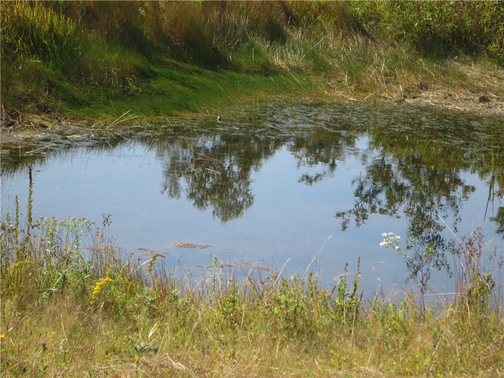 28 Stormy R Lane Milo, ME 04463 - Photo 31 of 35 Same pond -- lots of frogs, lots of...
