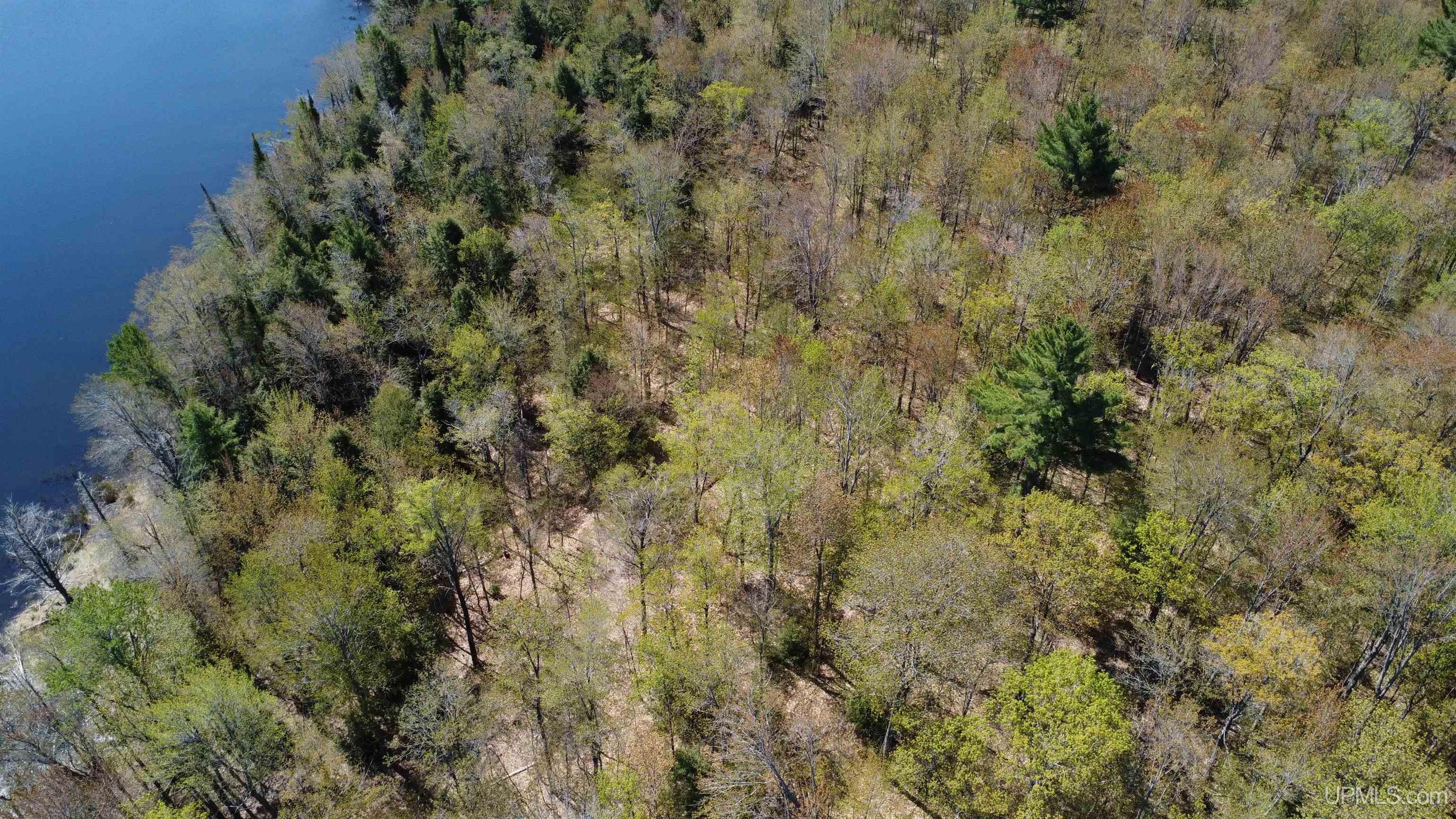 Off Adams Trail Shingleton, MI 49884 - Photo 22 of 46