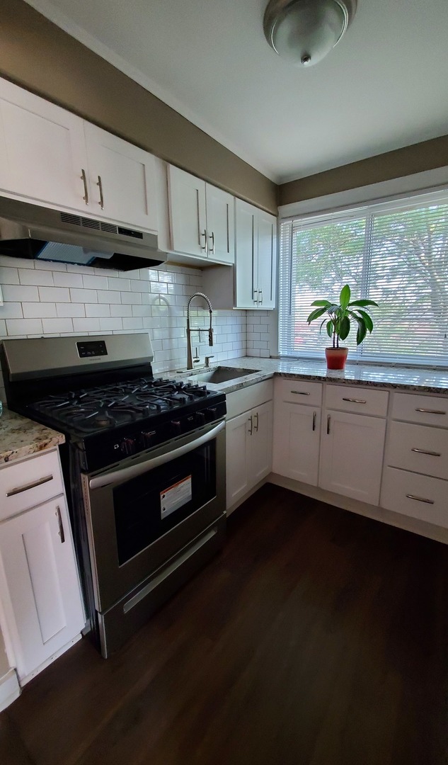 255 North Spring Street Elgin, IL 60120 - Photo 2 of 6 a kitchen with granite countertop a sink a stove and cabinets
